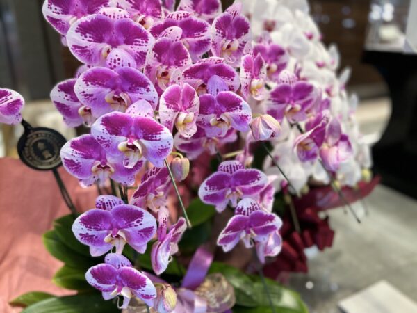 oomiya 京都店の移転リニューアルオープンに際し、素敵な開店祝いのお花をありがとうございます-etc・・・ -IMG_3396-600x450