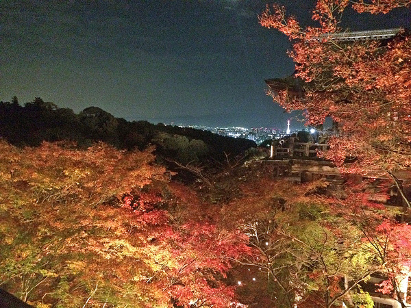 清水寺の紅葉。