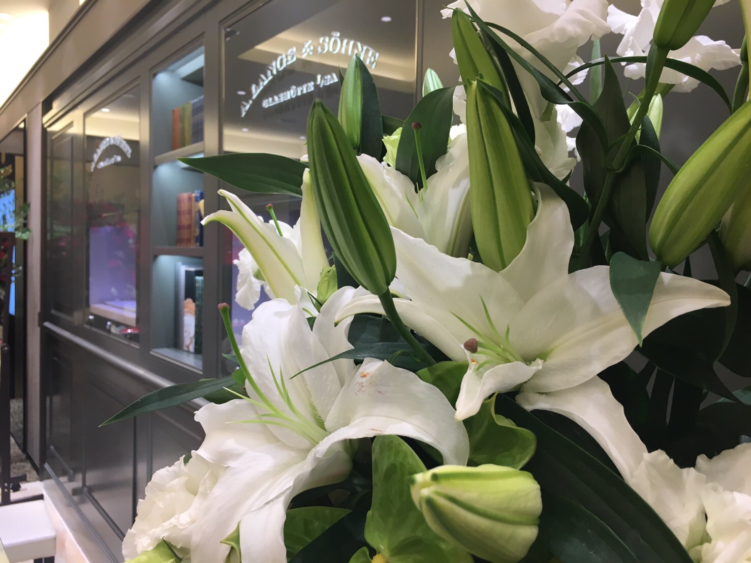 たくさんの開店祝いのお花、ありがとうございました。