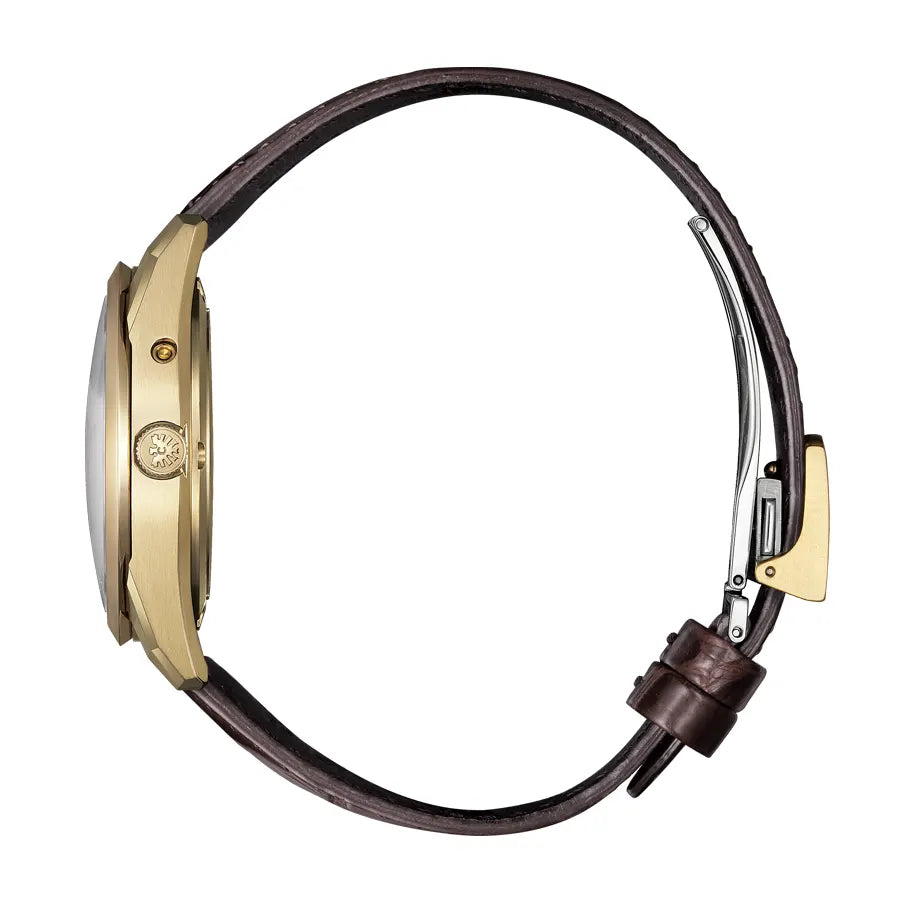 The CITIZEN 30周年記念限定モデル 年差±5秒 エコ・ドライブ Iconic Nature Collection