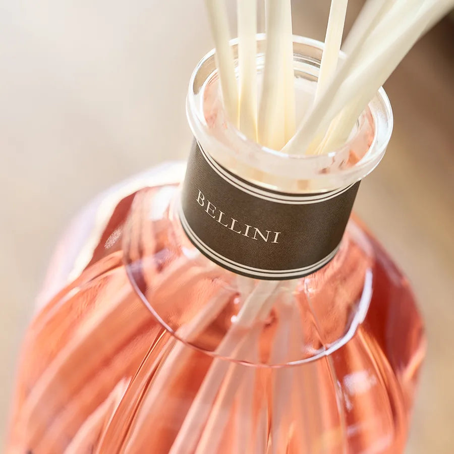 BELLINI ＜べリー二＞