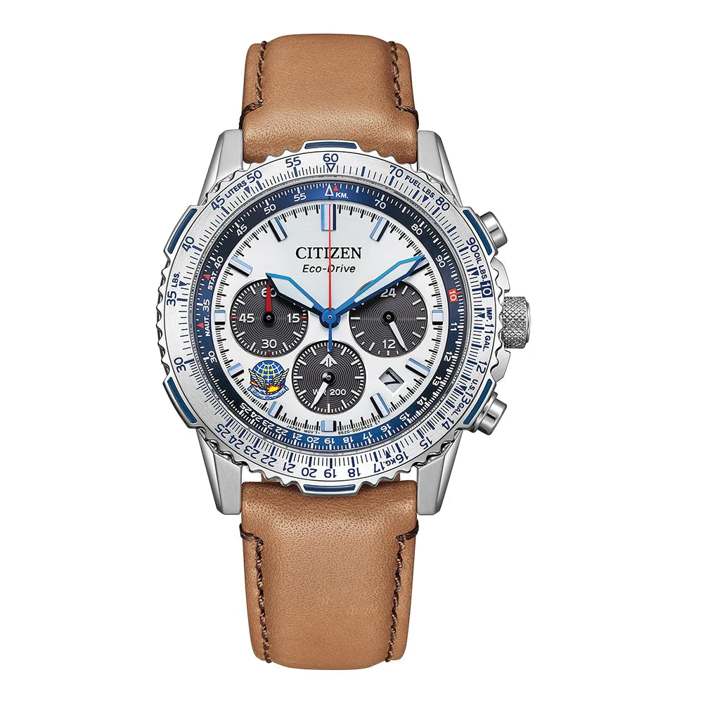 SUNSEA1661様限定 CA4661-09A - プロマスター Blue Impulse 限定モデル｜シチズン