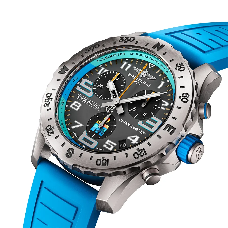 エンデュランス プロ IRONMAN® ワールドチャンピオンシップ 2025