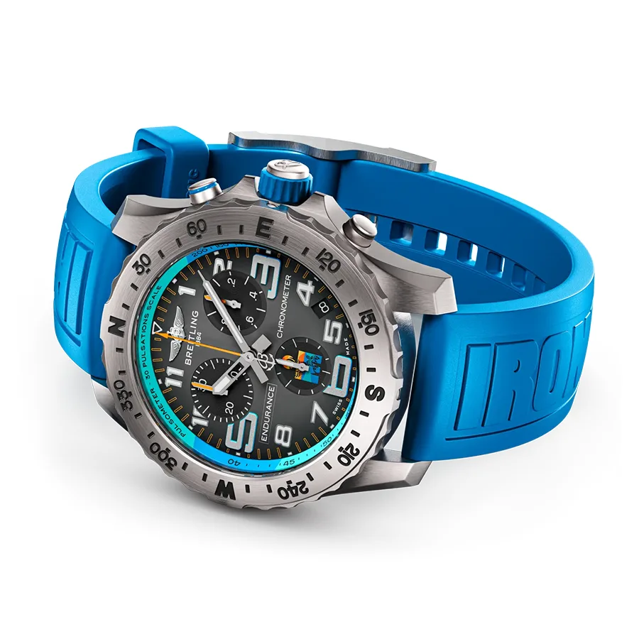 エンデュランス プロ IRONMAN® ワールドチャンピオンシップ 2025