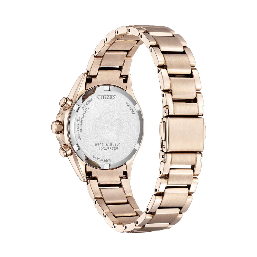 FB1405-58A - basic コレクション エコ・ドライブ｜クロスシー