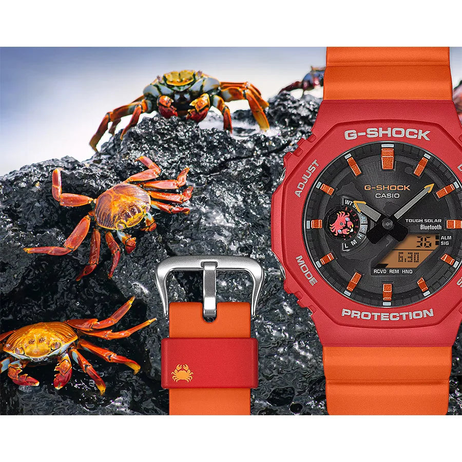 Charles Darwin Foundationコラボレーションモデル