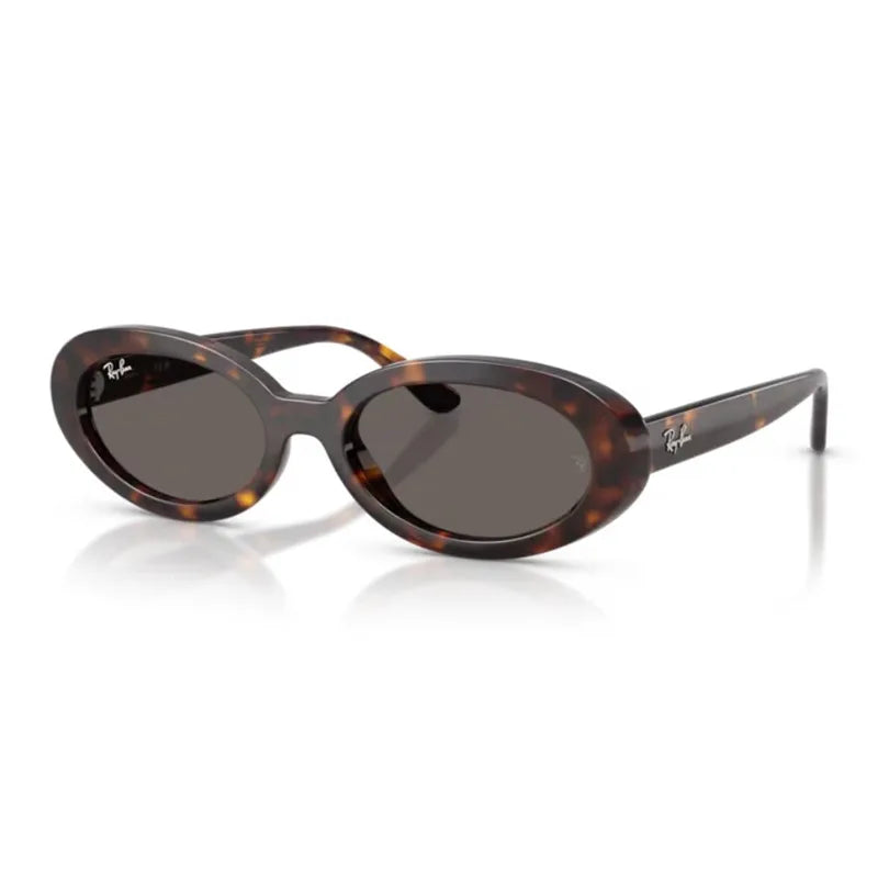 サングラス RB2223F 902/B1｜Ray-Ban (レイバン) – oomiya 公式サイト