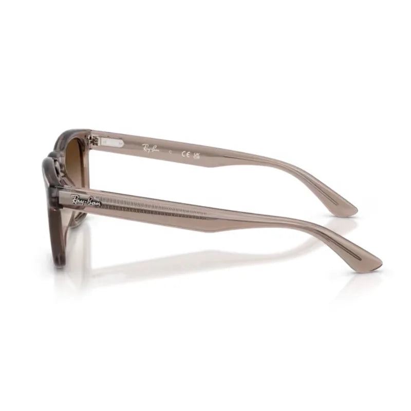 サングラス - RB2238 6827/13｜Ray-Ban (レイバン) – oomiya 公式サイト