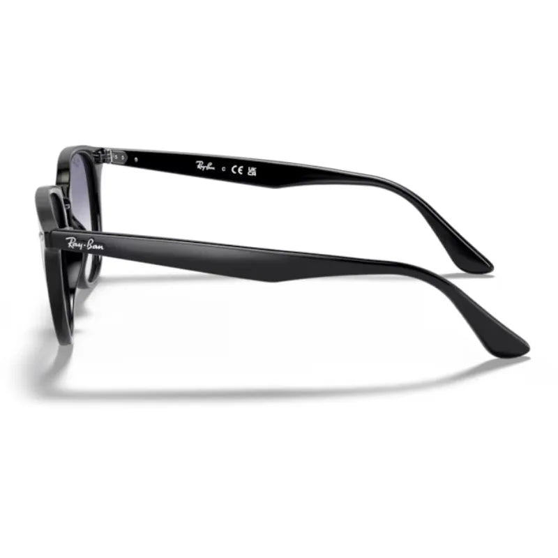 サングラス - RB4259F(50) 601/19|Ray-Ban (レイバン) – oomiya 公式 サングラス - RB4259F(50) 601/19|Ray-Ban (レイバン) – oomiya 公式