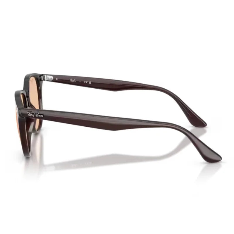 サングラス - RB4259F(50) 6231/93｜Ray-Ban (レイバン) – oomiya 公式