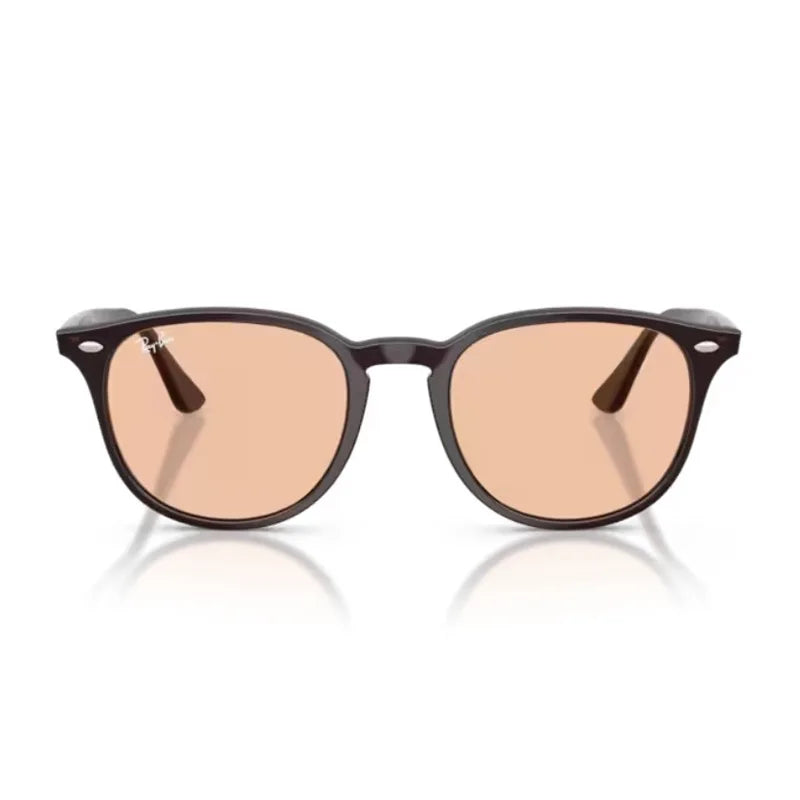 サングラス - RB4259F(50) 6231/93｜Ray-Ban (レイバン) – oomiya 公式
