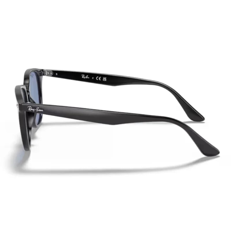サングラス - RB4259F(53) 601/80｜Ray-Ban (レイバン) – oomiya 公式