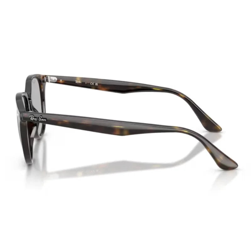 サングラス - RB4259F(53) 710/87｜Ray-Ban (レイバン) – oomiya 公式