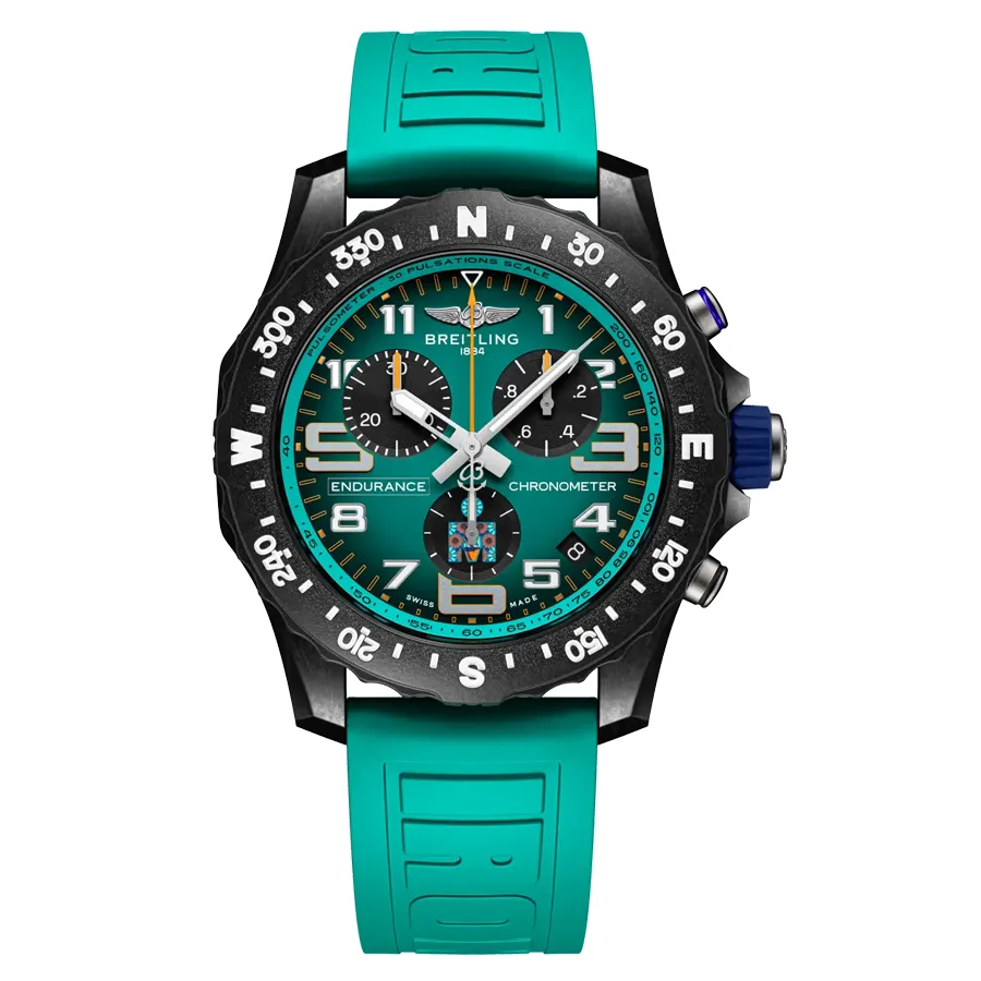 エンデュランス プロ IRONMAN® 70.3 ワールドチャンピオンシップ