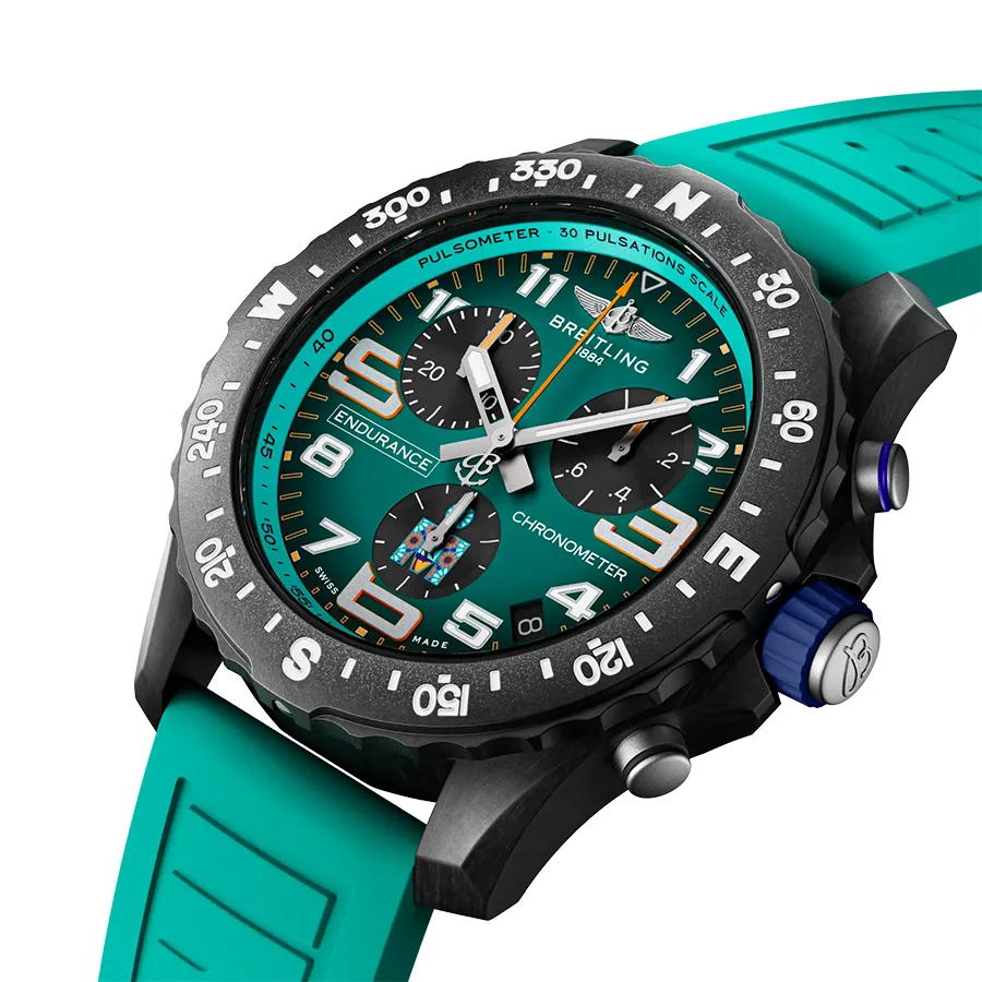 エンデュランス プロ IRONMAN® 70.3 ワールドチャンピオンシップ