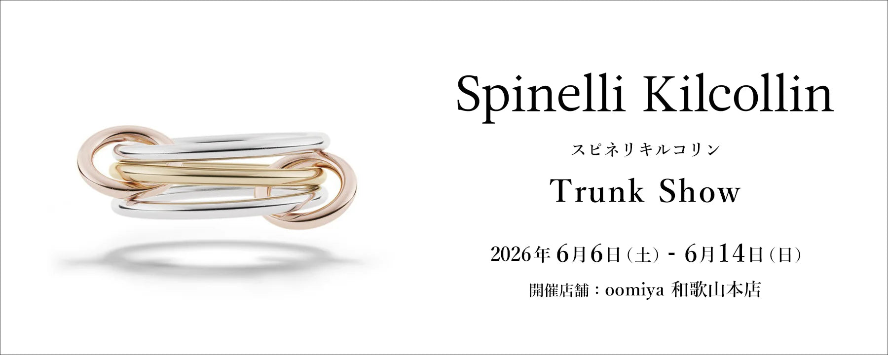 画像の説明