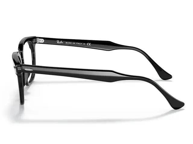 Ray-Ban (レイバン)｜メガネフレーム RB5398-F 2000 HAWKEYE