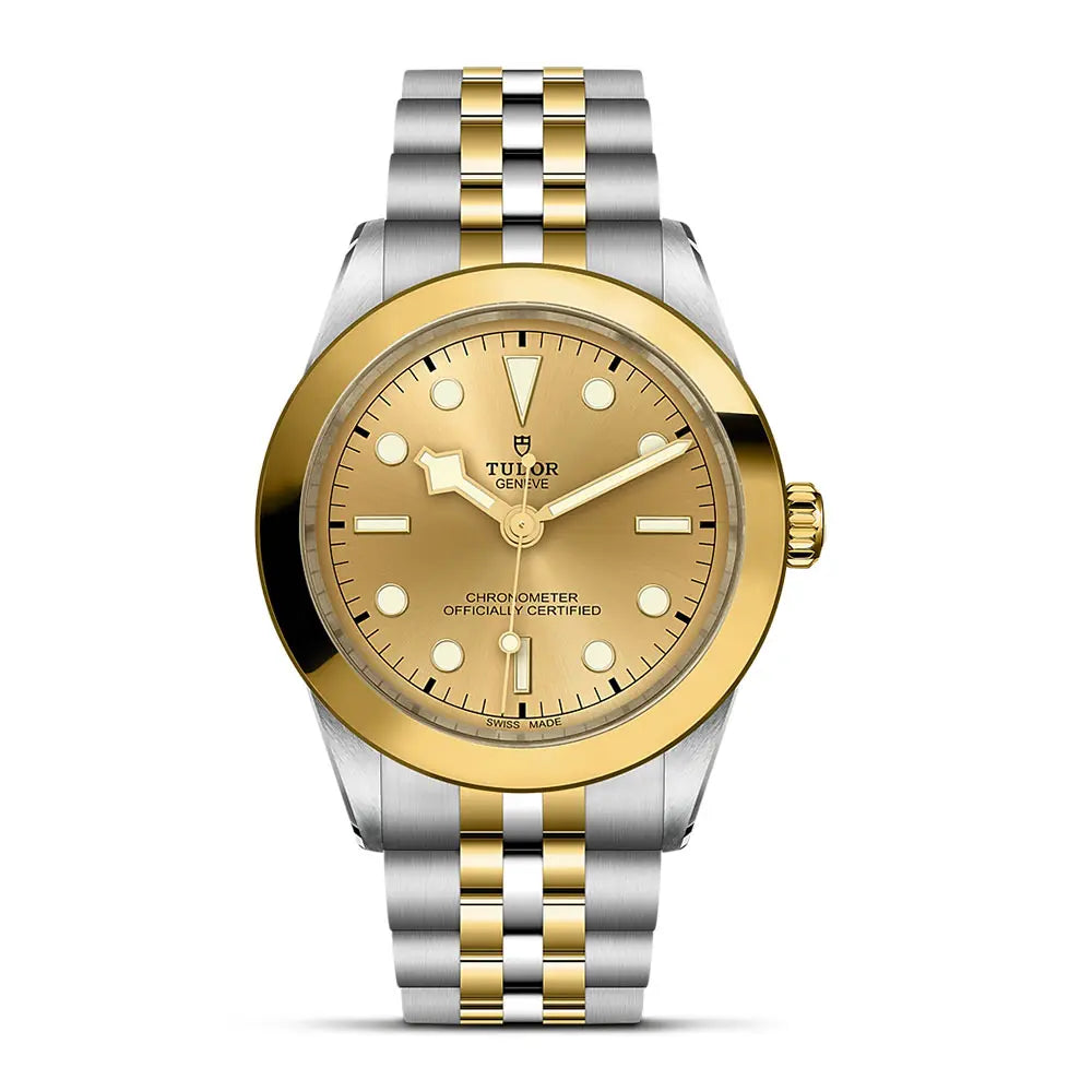 し様　確認用 新古品【TUDOR】チューダー ブラックベイ39 S&G K18コンビ 79663