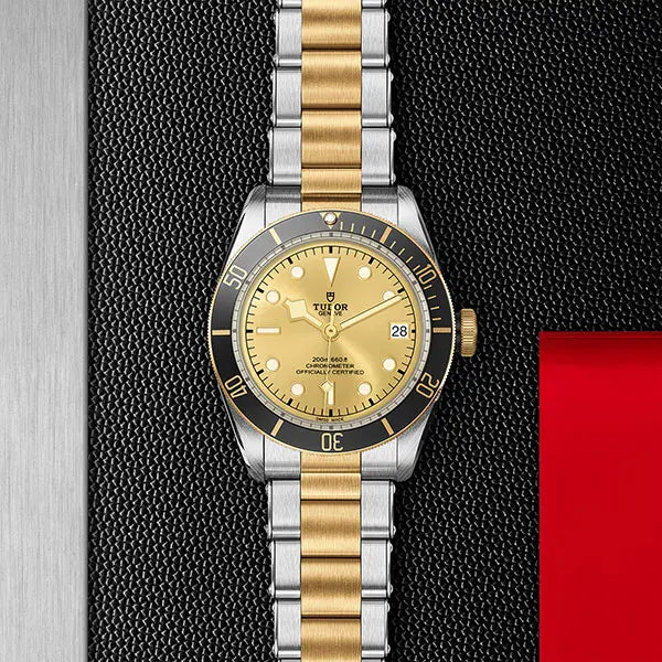 ブラックベイ S&G - M79733N-0004|チューダー (TUDOR) – oomiya 公式 ブラックベイ S&G - M79733N-0004|チューダー (TUDOR) – oomiya 公式