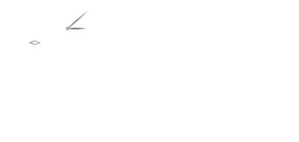 oomiya 40周年記念フェア