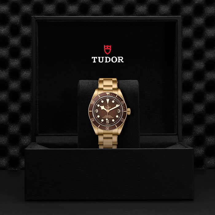 TUDOR チューダー　ブラックベイ Fifty-Eight ブロンズ